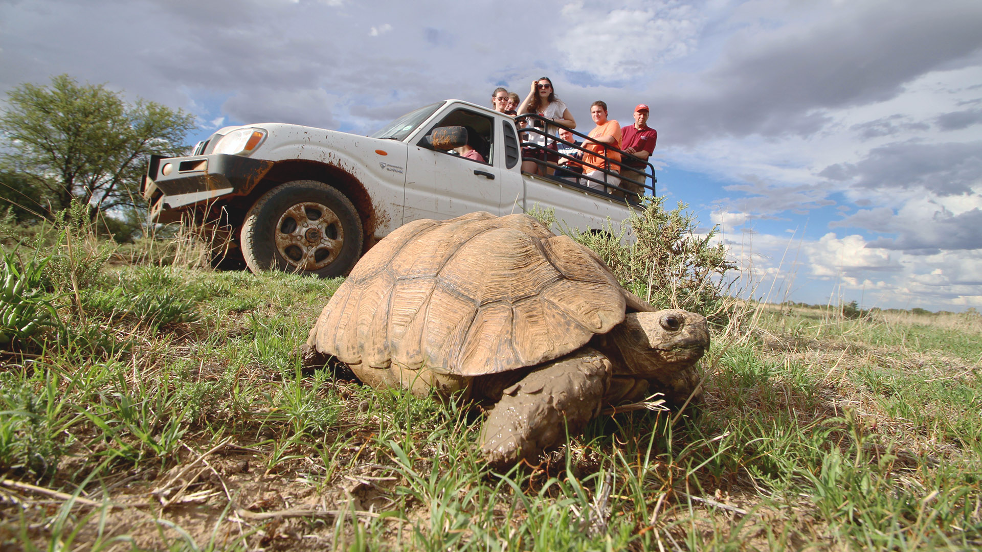 Virginia Tech students study abroad in South Africa