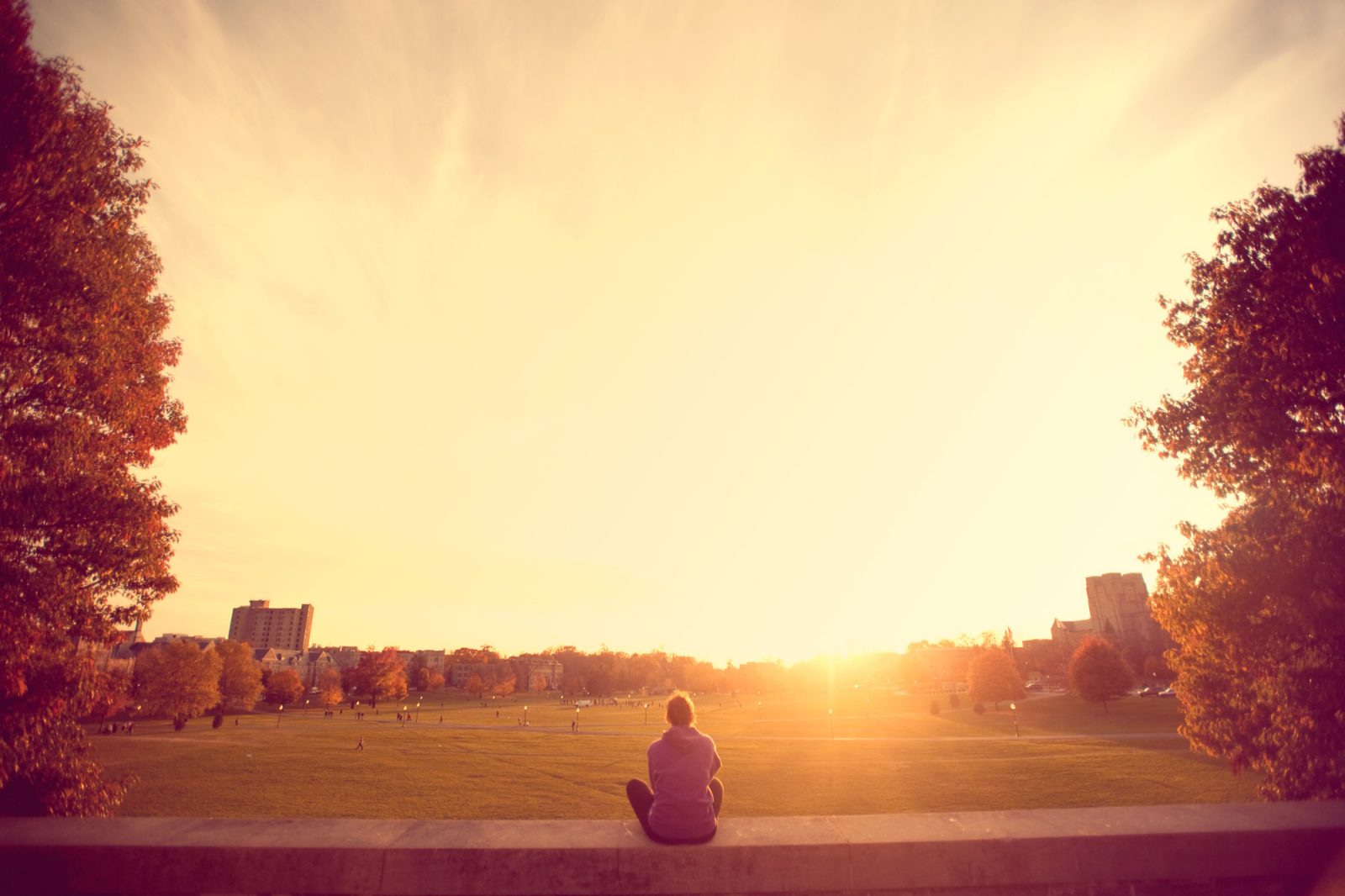 Summer Internships Summer Sessions Virginia Tech